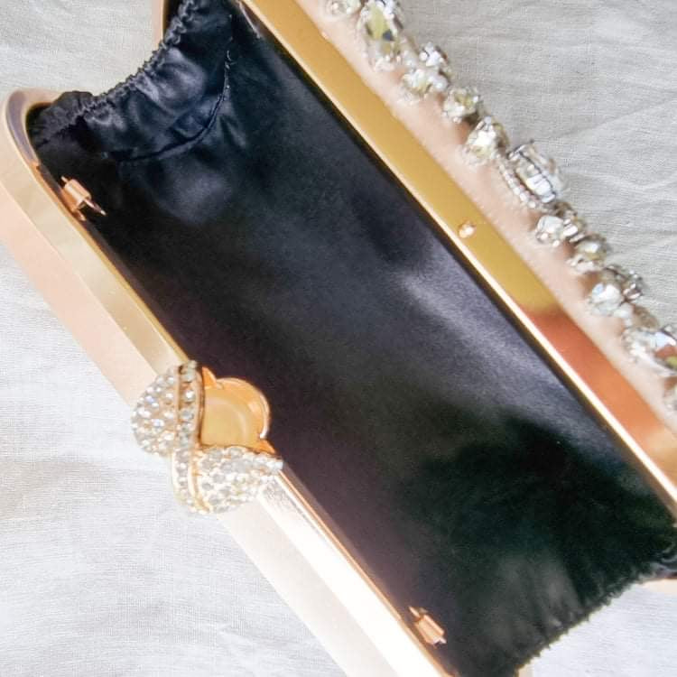 Elegant Crystal embellished evening bag.